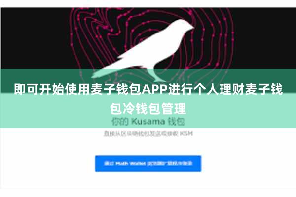 即可开始使用麦子钱包APP进行个人理财麦子钱包冷钱包管理