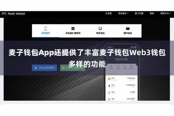 麦子钱包App还提供了丰富麦子钱包Web3钱包多样的功能