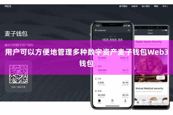用户可以方便地管理多种数字资产麦子钱包Web3钱包