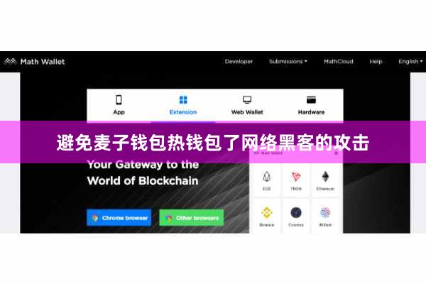 避免麦子钱包热钱包了网络黑客的攻击
