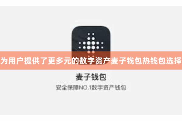 为用户提供了更多元的数字资产麦子钱包热钱包选择