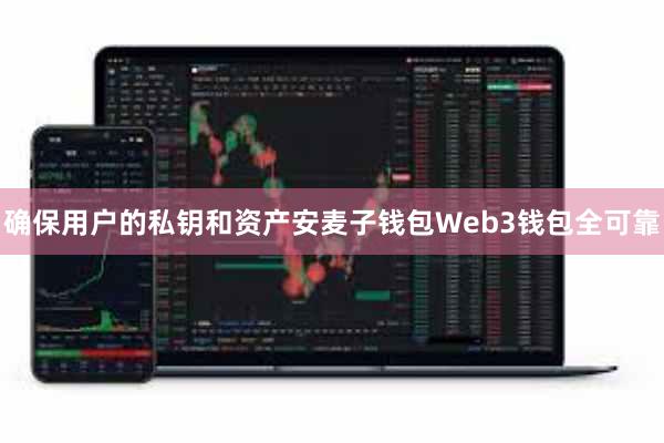 确保用户的私钥和资产安麦子钱包Web3钱包全可靠