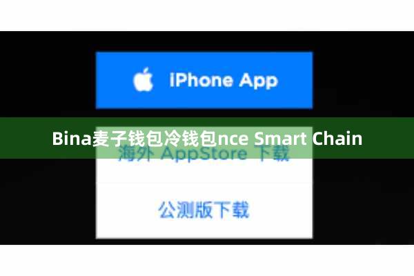 Bina麦子钱包冷钱包nce Smart Chain