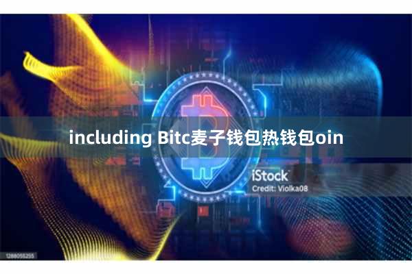 including Bitc麦子钱包热钱包oin