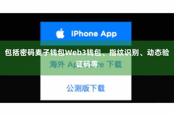 包括密码麦子钱包Web3钱包、指纹识别、动态验证码等