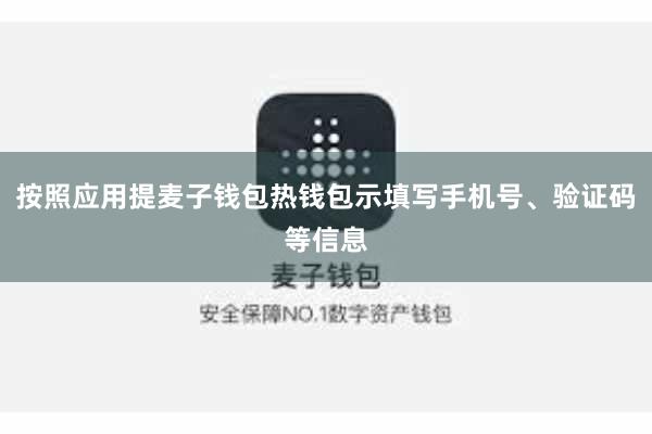 按照应用提麦子钱包热钱包示填写手机号、验证码等信息