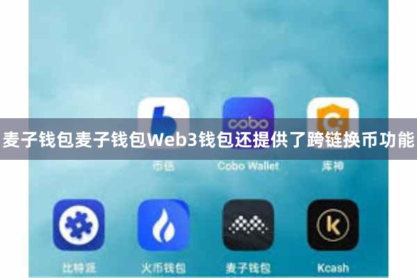 麦子钱包麦子钱包Web3钱包还提供了跨链换币功能