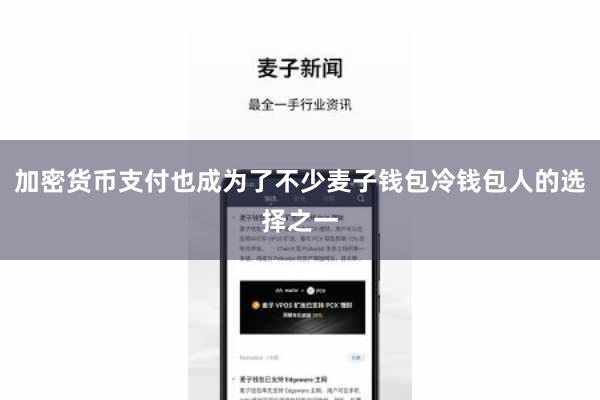 加密货币支付也成为了不少麦子钱包冷钱包人的选择之一