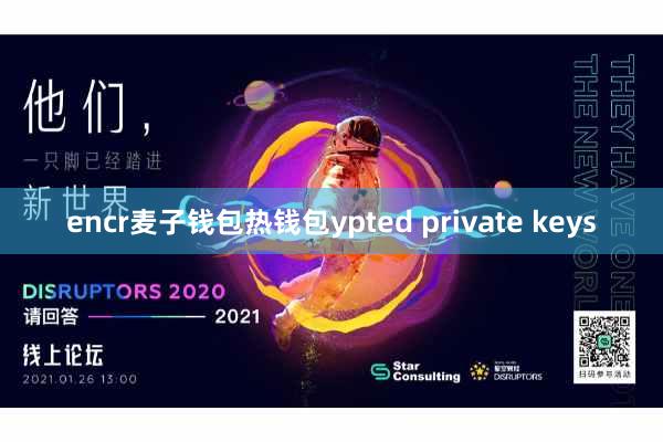 encr麦子钱包热钱包ypted private keys