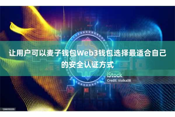 让用户可以麦子钱包Web3钱包选择最适合自己的安全认证方式