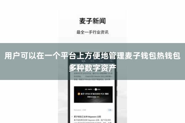 用户可以在一个平台上方便地管理麦子钱包热钱包多种数字资产
